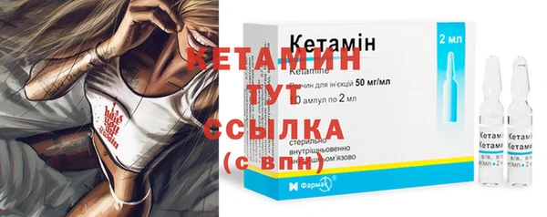 соль ск Новозыбков