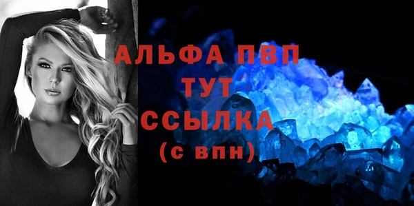 соль ск Новозыбков