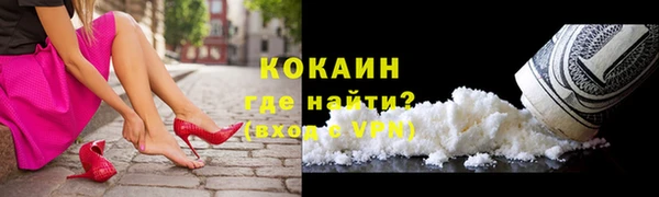 соль ск Новозыбков