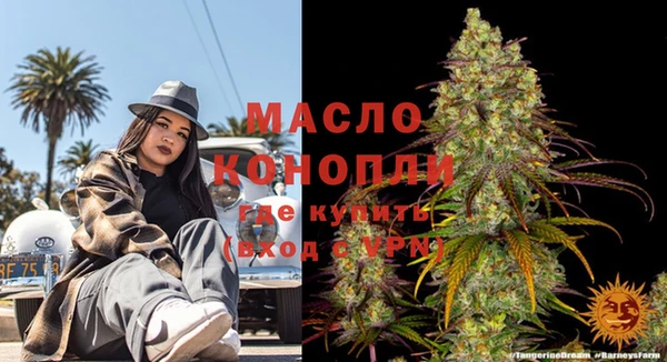тгк Новодвинск