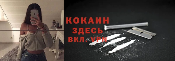 тгк Новодвинск