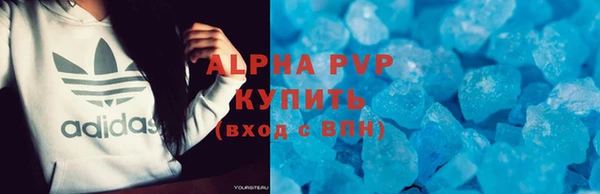 тгк Новодвинск