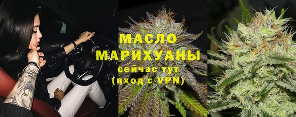 соль ск Новозыбков