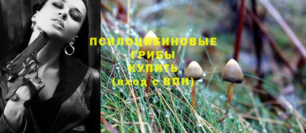 мескалин Чердынь