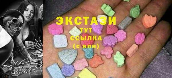 соль ск Новозыбков