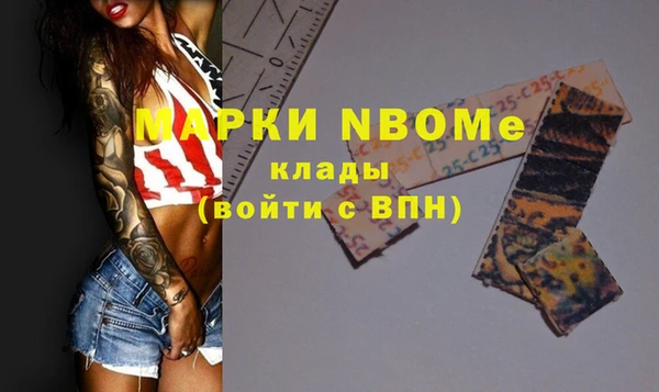 тгк Новодвинск