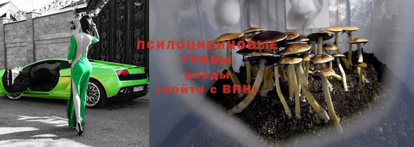 соль ск Новозыбков