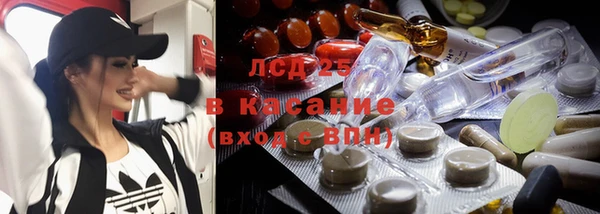 тгк Новодвинск