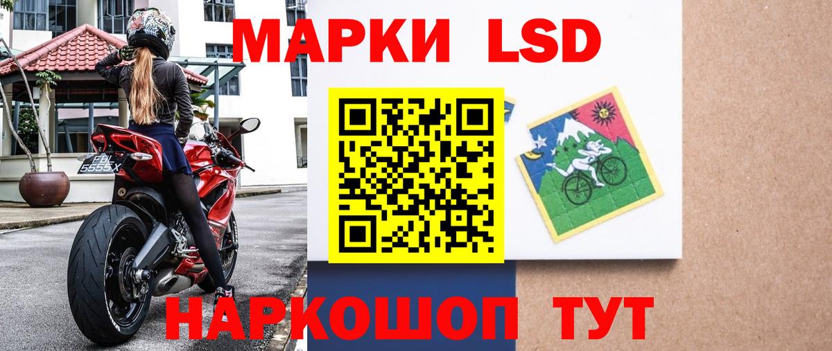 где можно купить наркотик  Тайшет  Наркотические марки  Наркотические марки 1,5мг  Наркотические марки 1,5мг 