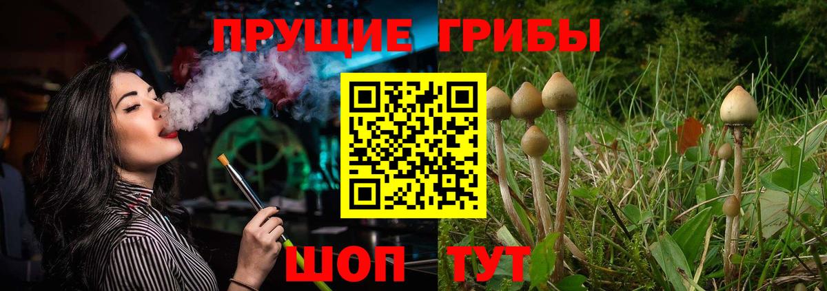 Галлюциногенные грибы MAGIC MUSHROOMS Тайшет