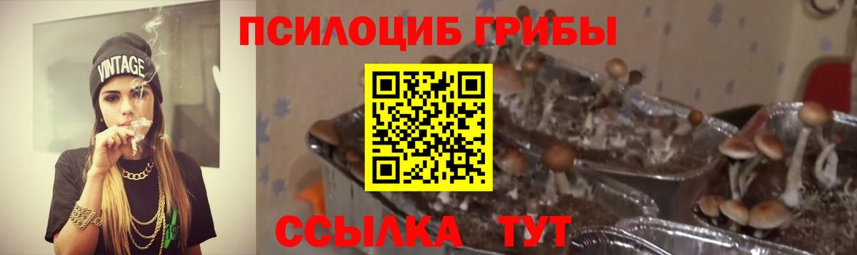 Галлюциногенные грибы Magic Shrooms  Тайшет 